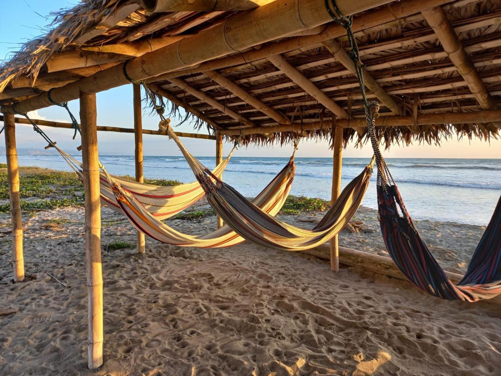 Canoa South Beach 외부 사진